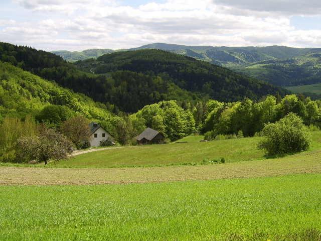 Agroturystyka Millerówka Kamionka Mala  Exterior foto
